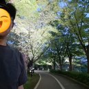 [런린이 10km 마라톤 도전기] 7주차 - 훈련 21일차 (5/13) (feat. 하하호호 마라톤 후기 이벤트 당첨)