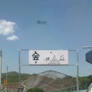 레볼루션애견 네이버블로그
