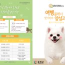 여행플래너 이미지
