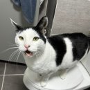 삼육탕 | [주간일기] 12. 22. ~ 28. (너무 아무 것도 없었던 크리스마스 주간ㅠ_ㅠ)