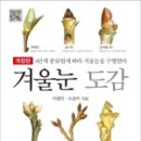 나무와 문화연구소