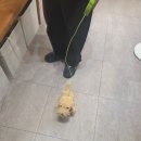 하이맥스 플레이 | [홍대 방탈출] 오아시스 뮤지엄 - 하이 맥스 (HIGH MAX) 팀원과 뇌를 공유하는 협동 문제방!