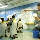 아쿠아플라넷63 이미지