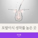 모다올의원 네이버블로그