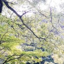 상무대로1-2 이미지