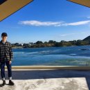 하도 조은 이미지