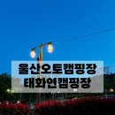 태화연 야영장 2 이미지