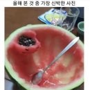 YJ LIFE JJANG