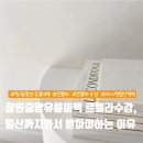 창원중앙유륜미백 르멜라, 이 시장은 아직 비어 있습니다. 멜라티스트 지금 도전하세요!