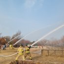 강서구-5 이미지