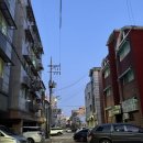 반도사 | MZ의 신점 솔직후기 안산 본오동 '부채도사'