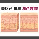 강남더슬림의원 이미지