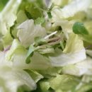 그린샐러드 이미지