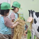 달성상회 이미지