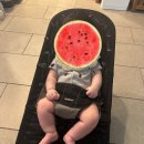 Baby bjorn mesh bouncer 베이비뵨 바운서 팔아요 이미지