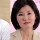 장천 매일경제