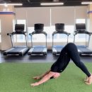 애니멀짐PT 이미지