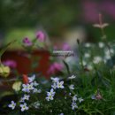 병철목장 이미지