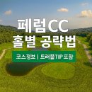 하이망CC점 | 페럼CC 홀별 공략법 & 리얼 후기