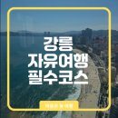 다모아농장 | 강릉 2박3일 자유여행 완벽 가이드