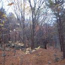 장원초등학교 이미지