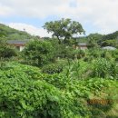 동승당구장 이미지