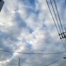 가보세삼계탕 | 청주사직동맛집 청주삼계탕 가보세보양식 맛있었어요!