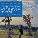 제주도 4박 5일 뚜벅이 여행코스 추천 (제주시 1일차)🌴