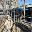 예솔작은도서관 이미지