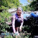 친애하는나의식물씨