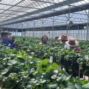 봉화농업기술센터 이미지