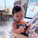 씨유 용인공세대로점 | [용인]아기랑 동물카페 추천 &#39;리프페럿&#39; 앵무새랑 노는 이색체험 내돈내산 후기