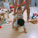 명가온족발