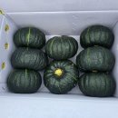 윤승하농장 이미지