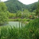 강원도자연환경연구공원 이미지