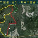 한라산둘레길 동백길 이미지