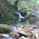 솔향기펜션 | 속리산문경펜션 고민 끝 솔향기펜션 가족여행 후기