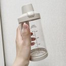제니퍼룸 블렌드러쉬 휴대용 핸드블렌더 오트밀컬러 후기