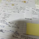 [2021-2] [종강] 처음이자 마지막 6전공😵‍💫 (1정책 5경금)
