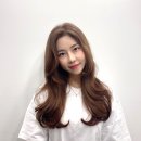 빈헤어비스 이미지