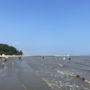 솔밭맛집 이미지