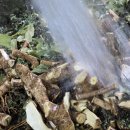 약산농장 이미지