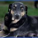행복한 간식생활