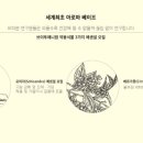 비타민전자 이미지