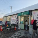 한창농장 | 경기도 용인 딸기체험농장 헤븐온어스 아이와 실내 딸기 체험 후기 (예약,가격 정보 포함)