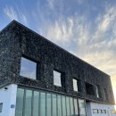 하도락 | [제주 구좌] 제주 동쪽 구좌 감성 숙소 하도락 아랫집 숙소 내돈내산 후기