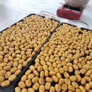 계명대 길라잡이 태권도장 이미지