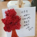 도당중학교 이미지