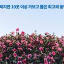 예래느랑 이미지