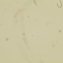 분당필동물병원 이미지